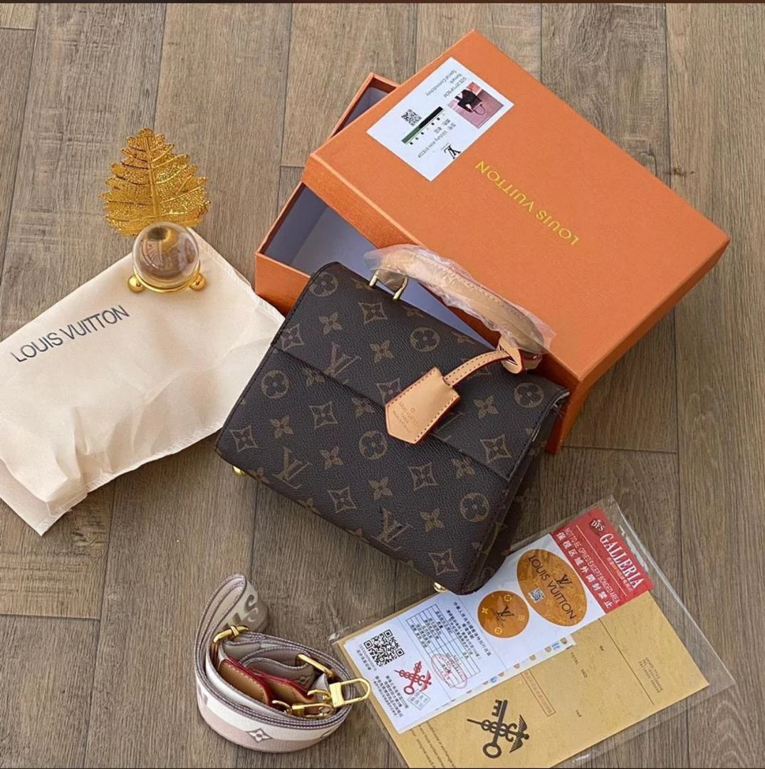 LOUIS VILTON LUXURY BAG